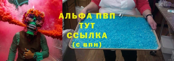 стаф Вязники